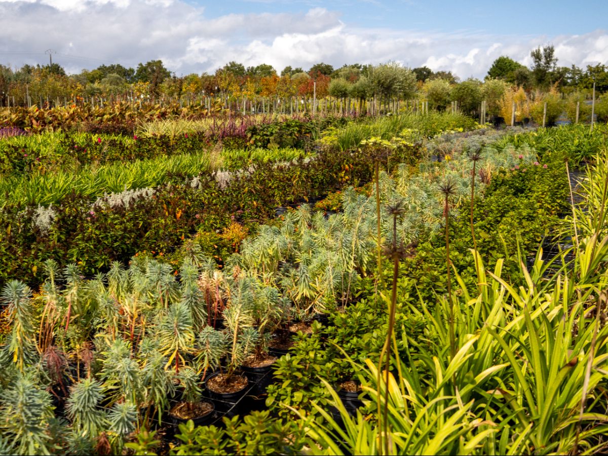 Vente d’articles de jardinage Saint-Avaugourd-des-Landes