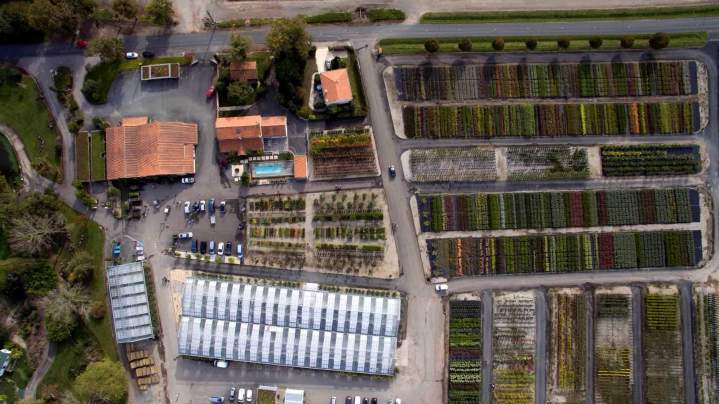 Exploitation horticole Vendée