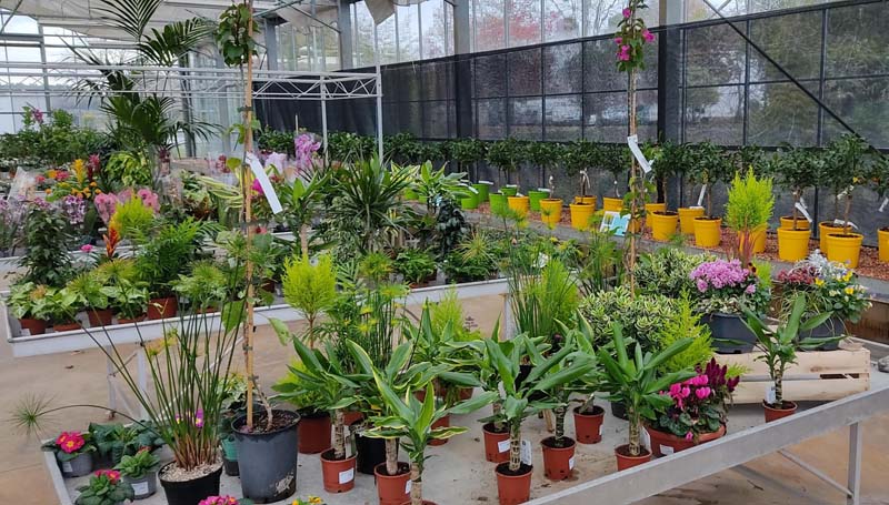 Vente de plantes végétaux Saint-Avaugourd-des-Landes