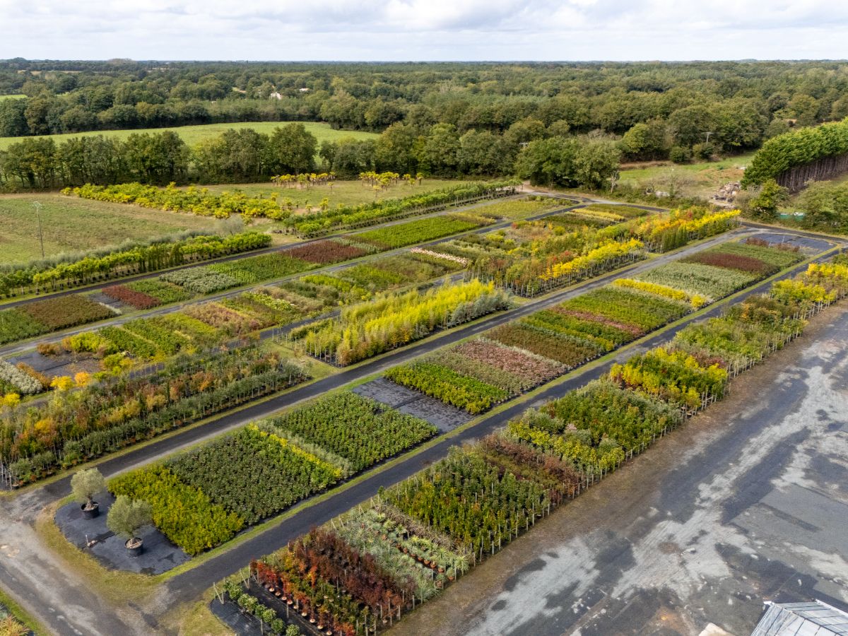 Conseils en aménagement jardin à Saint-Avaugourd-des-Landes