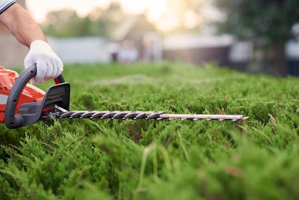 Vente d’outils de jardinage Saint-Avaugourd-des-Landes