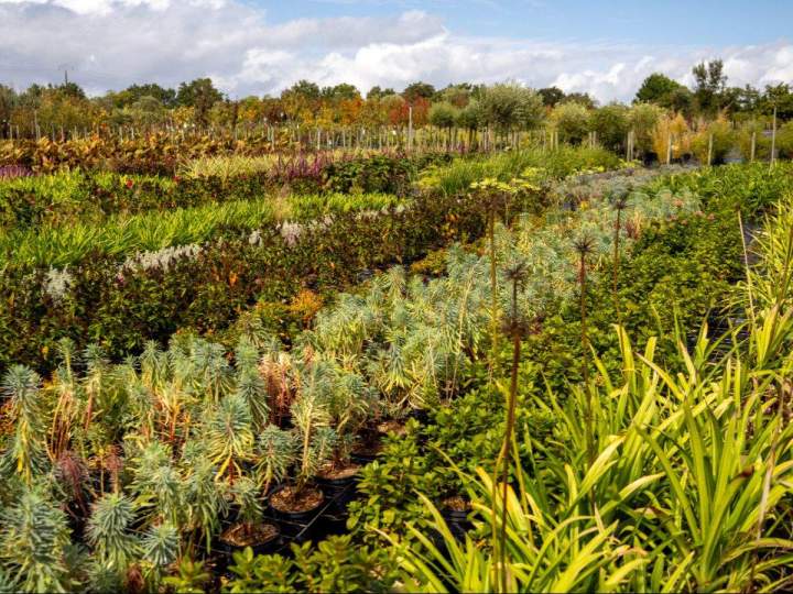Tout pour réussir vos plantations