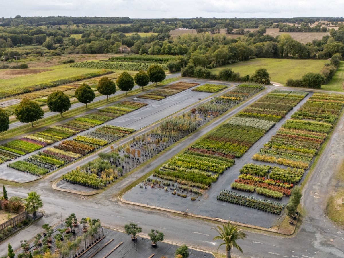 Jardinerie Saint-Avaugourd-des-Landes