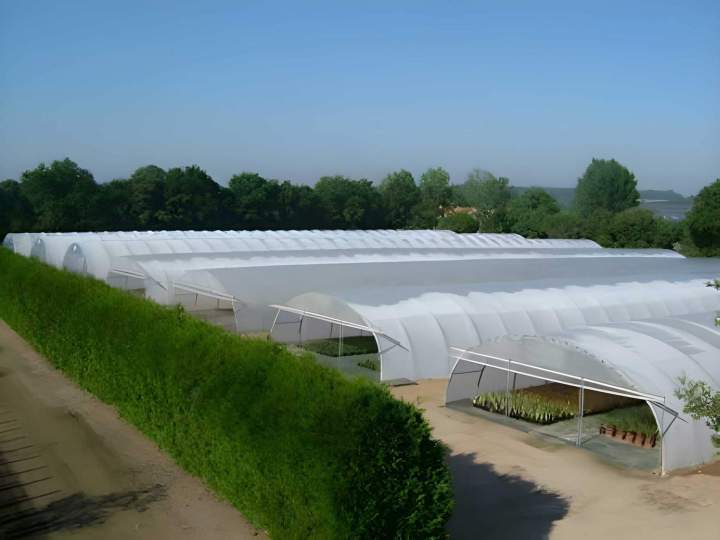 Culture sous abri plastique Vendée