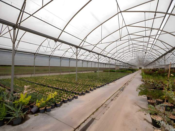Culture sous tunnel agricole Vendée