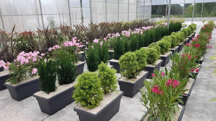 Jardinerie, Challans