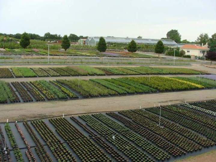 Pépinière botanique Vendée