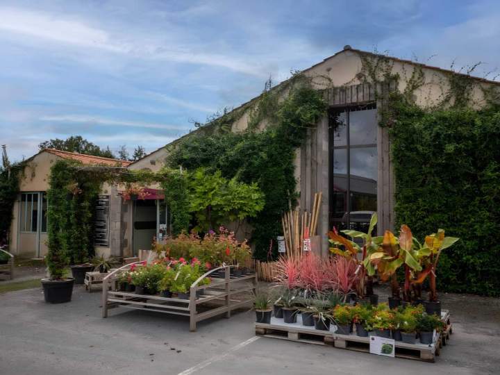Plantes pour aménagement paysager Vendée