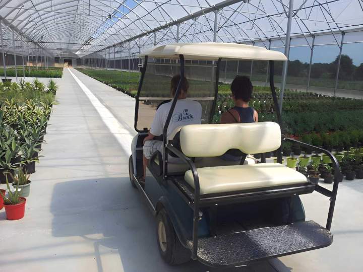 Viste de serre horticole Vendée
